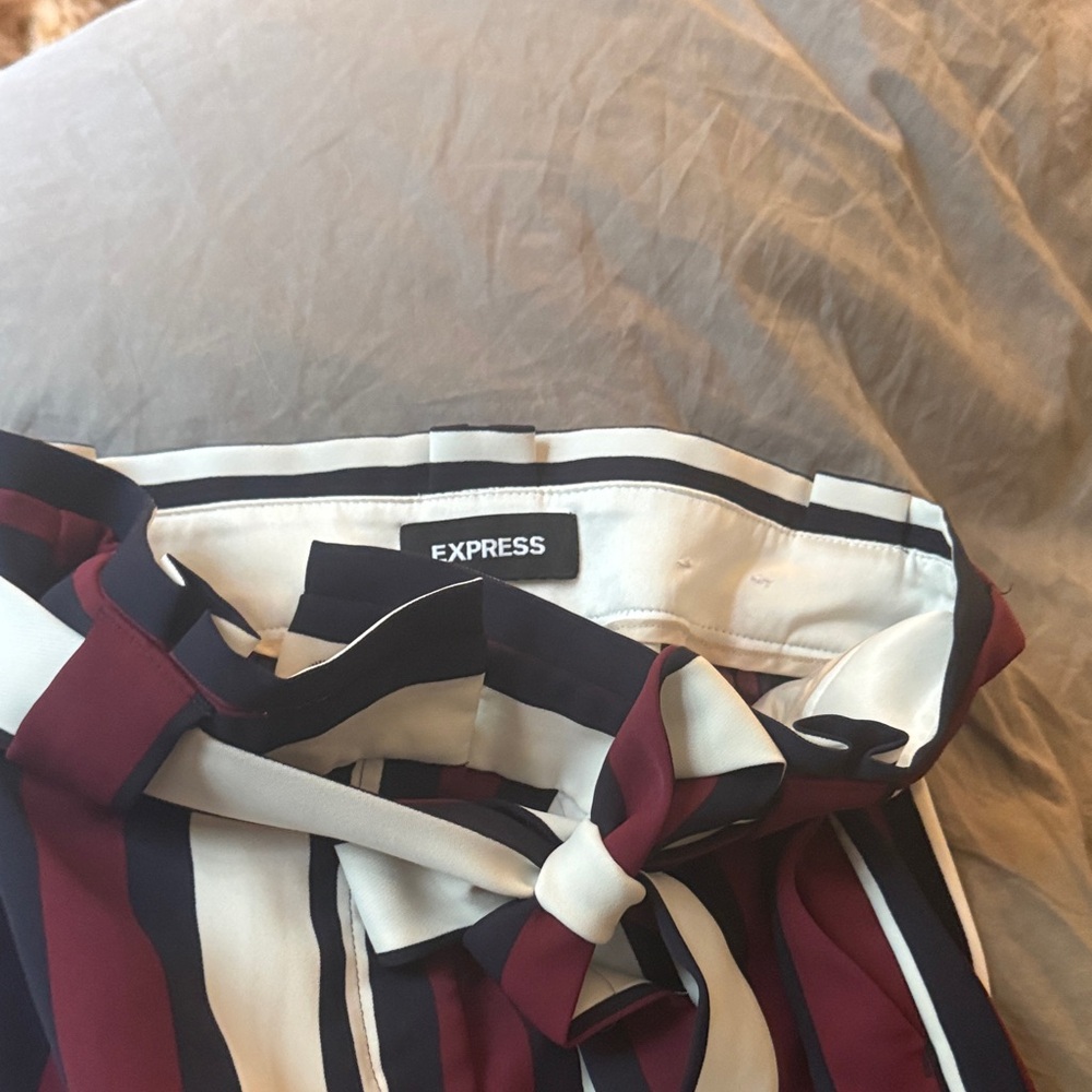 Express Navy and Burgundy Striped Skirt
